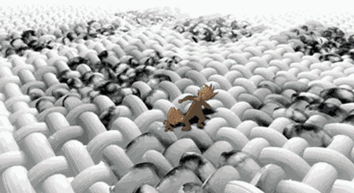 13.gif 13.gif